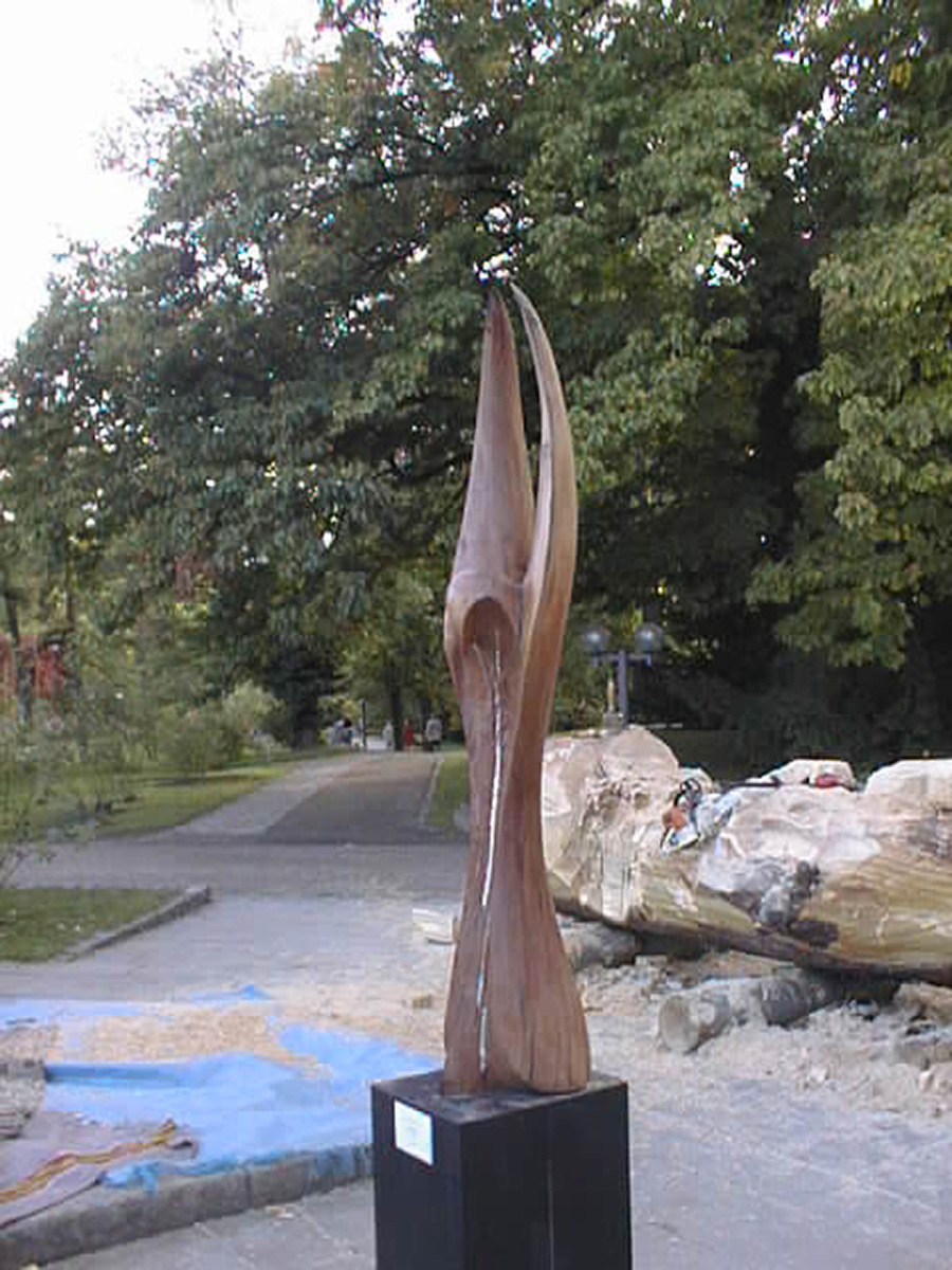 Kirschbaum und Zinn, 1998